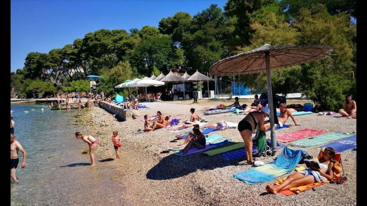 Vesna Zadar